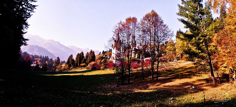 Galería fotográfica_03 4