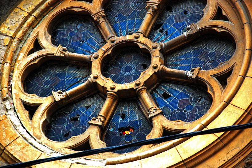 Galería fotográfica_03 6