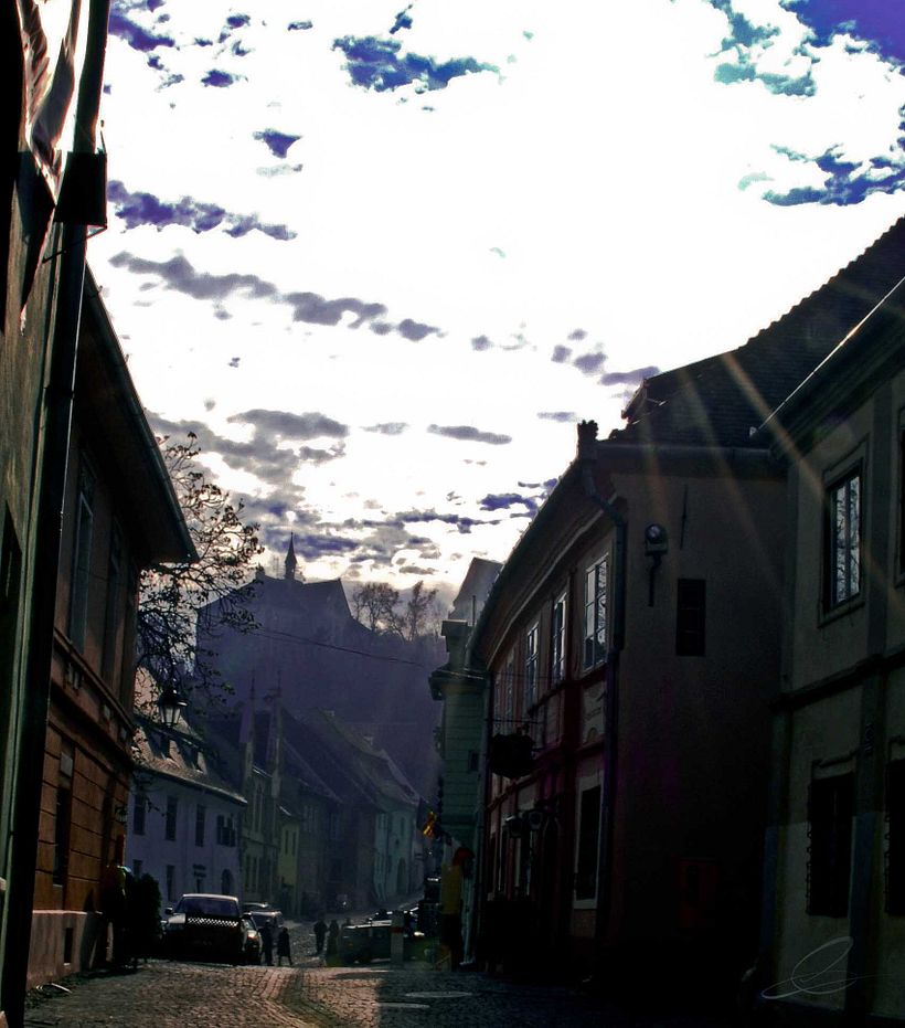 Galería fotográfica_03 10