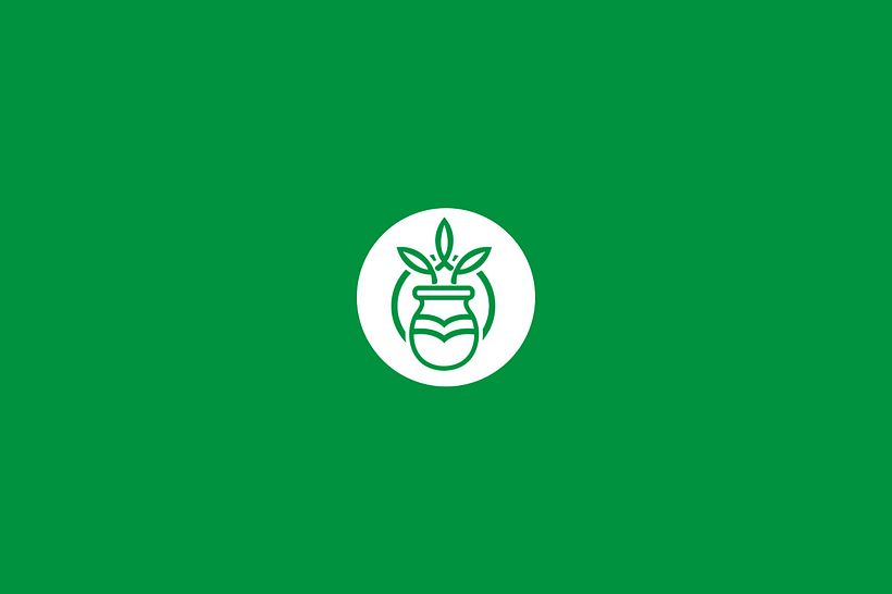 Logos & Marks  2017 7