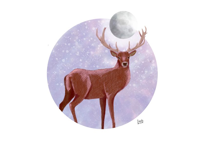 MOONLIGHT DEER - Traditional illustration