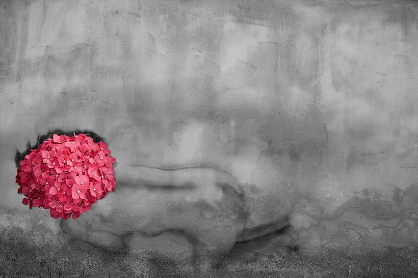 Intentando ver la vida de color rosa 0
