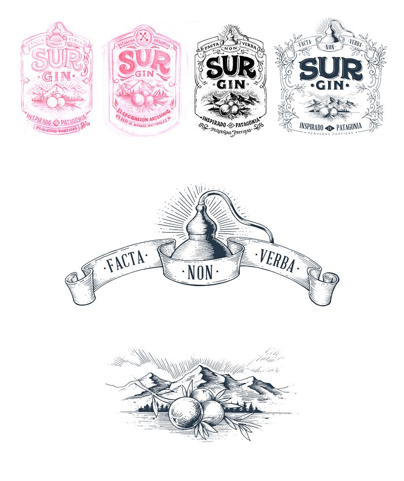 SUR GIN 2