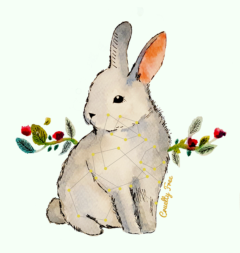 Bunny cruelty free!  -1