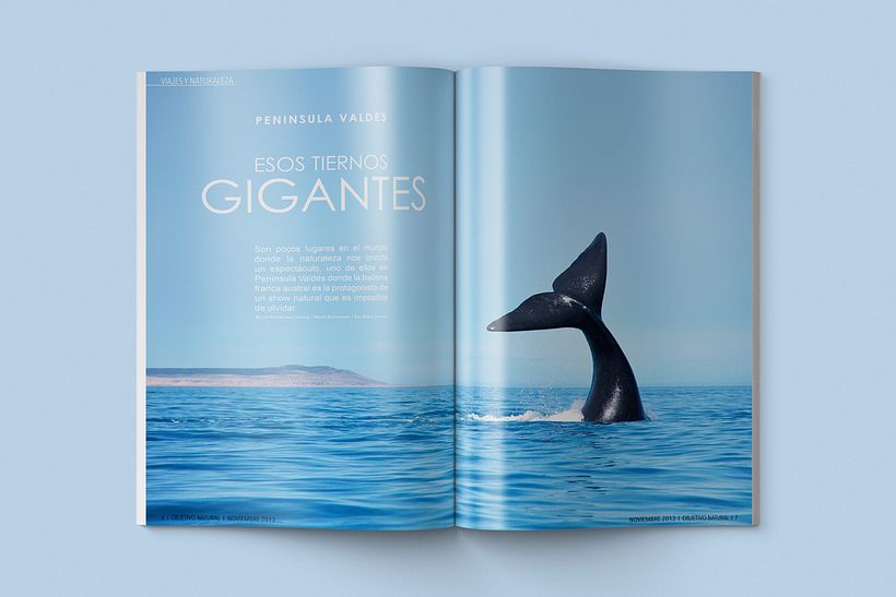 Diseño editorial 9