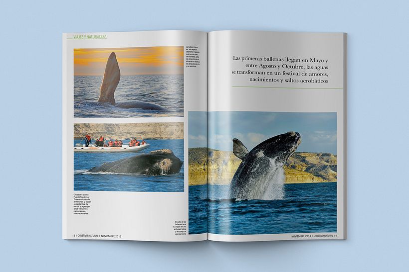 Diseño editorial 10