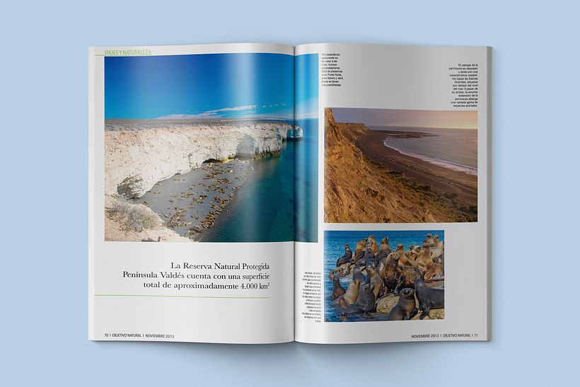 Diseño editorial 11