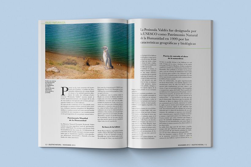 Diseño editorial 12