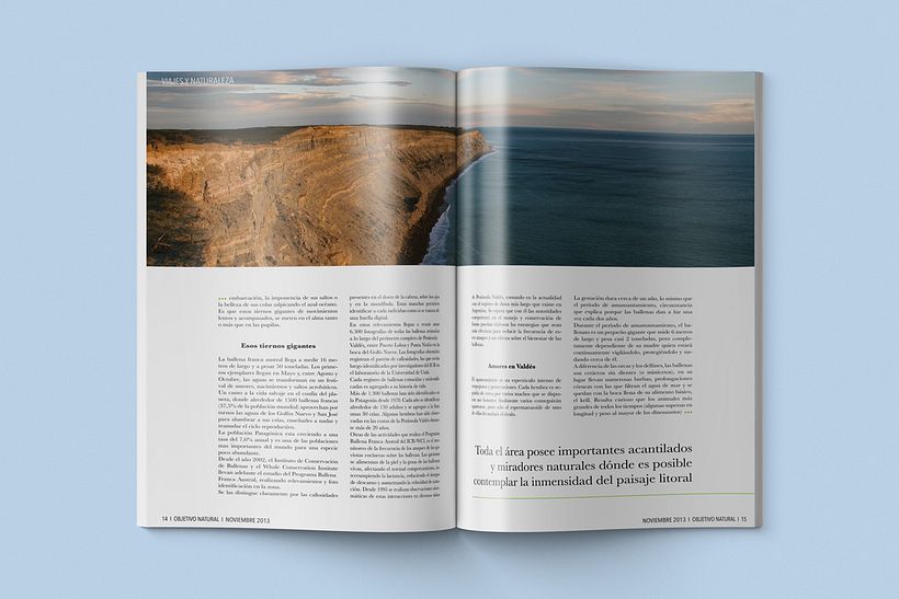 Diseño editorial 13