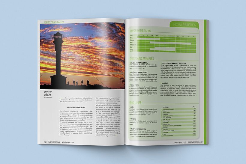 Diseño editorial 14