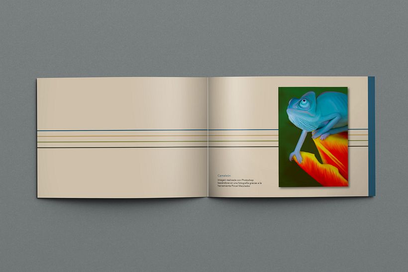 Mi Portfolio 13