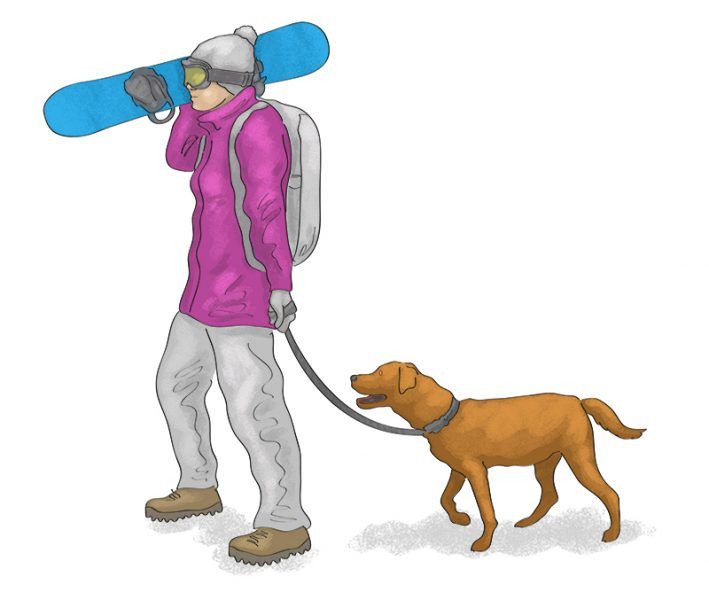 Ilustraciones FFCC 2