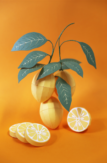 The food project  3