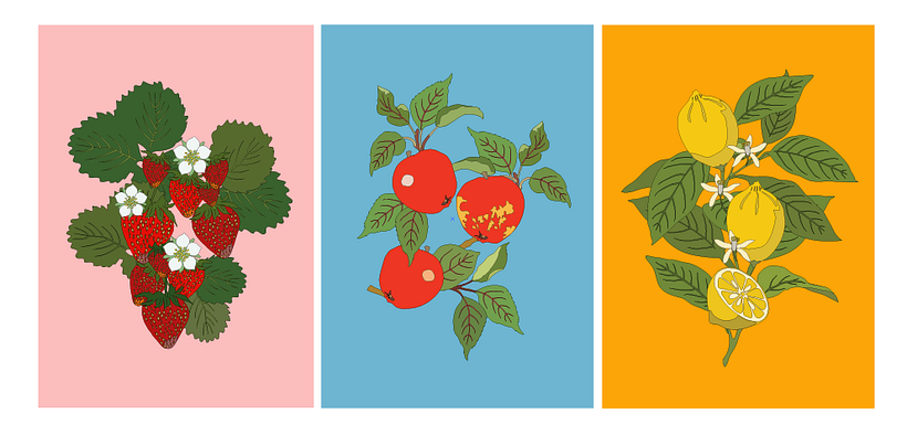 The food project  7