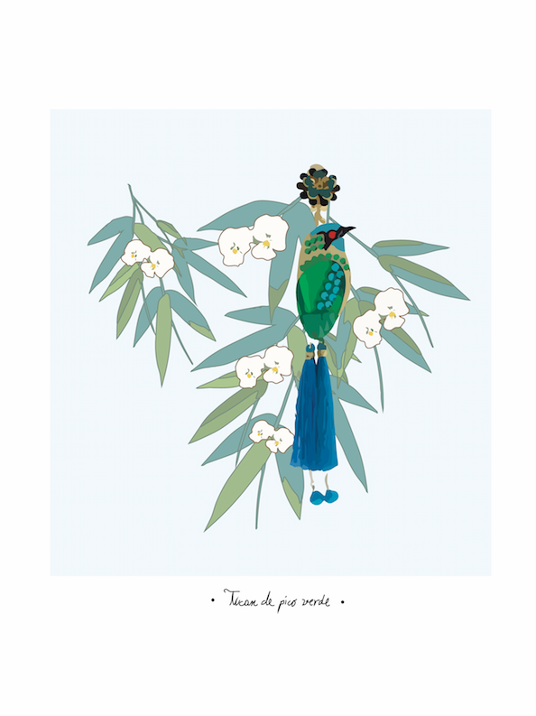 Aves del paraiso 18
