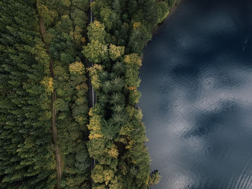 Whole a week in Scotland 5