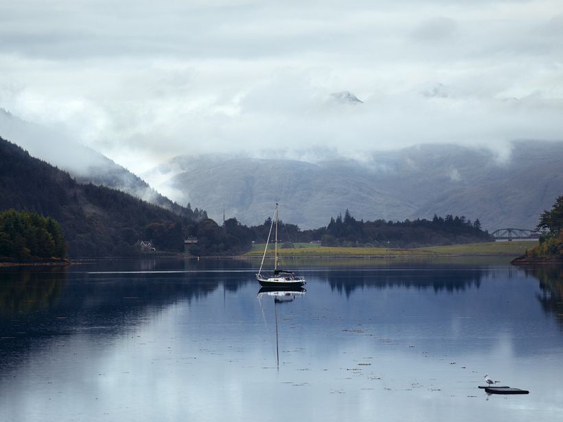 Whole a week in Scotland 8