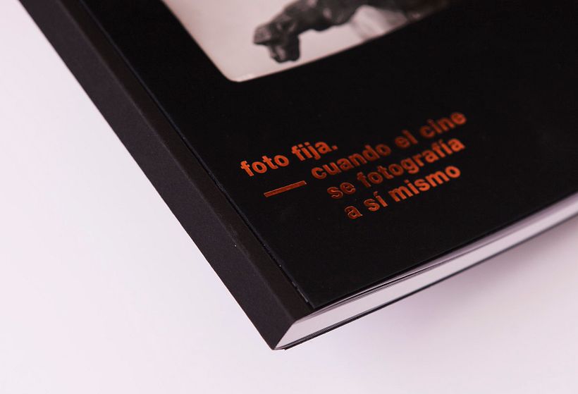 Foto fija -1