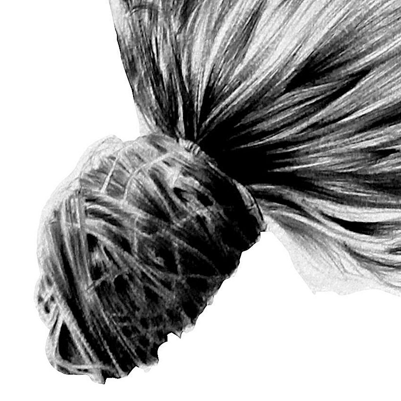 Alba. Bolígrafo BIC negro 4