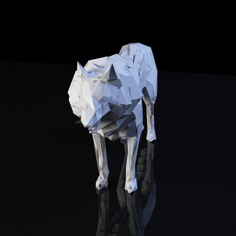 Animals 5