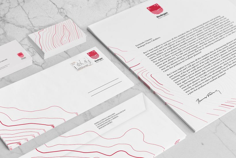 Branding Bodegas Pinto Caballero 5