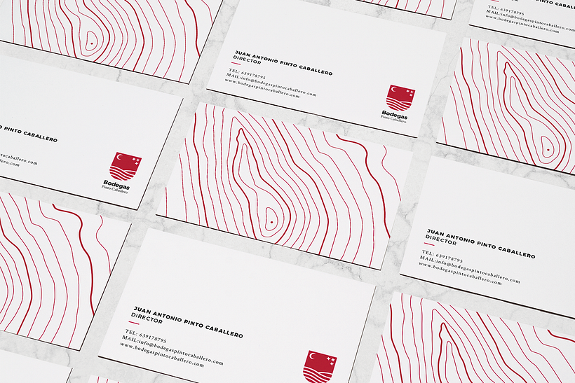 Branding Bodegas Pinto Caballero 6