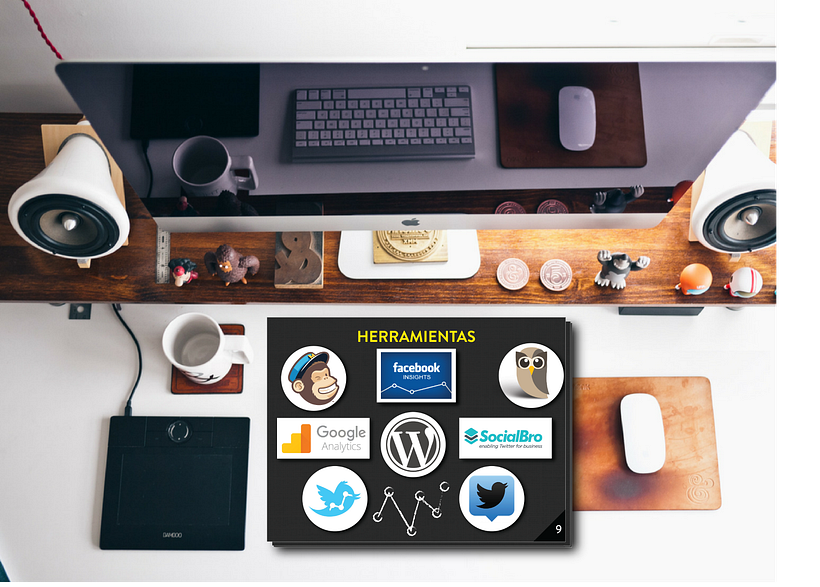 Portfolio Community Manager 13