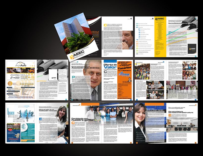 Anuario AEEC | Proyecyo Editorial | 2011 -1