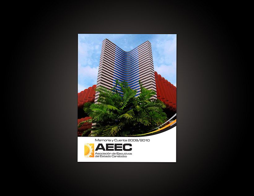 Anuario AEEC | Proyecyo Editorial | 2011 0