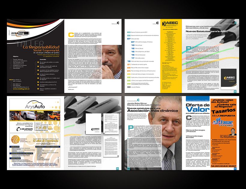 Anuario AEEC | Proyecyo Editorial | 2011 1