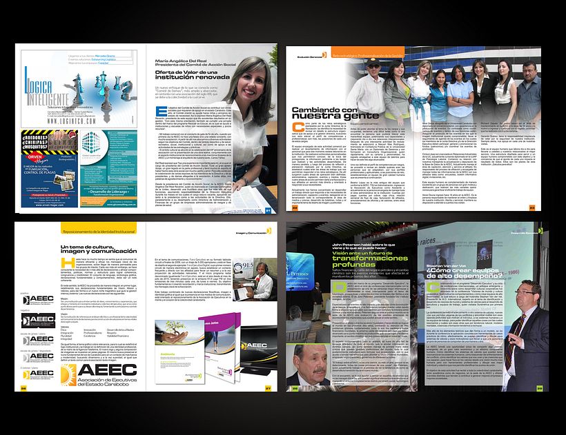 Anuario AEEC | Proyecyo Editorial | 2011 2