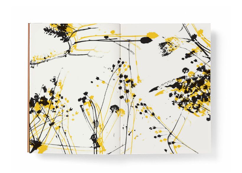 Piara. Ilustraciones y diseño. 9