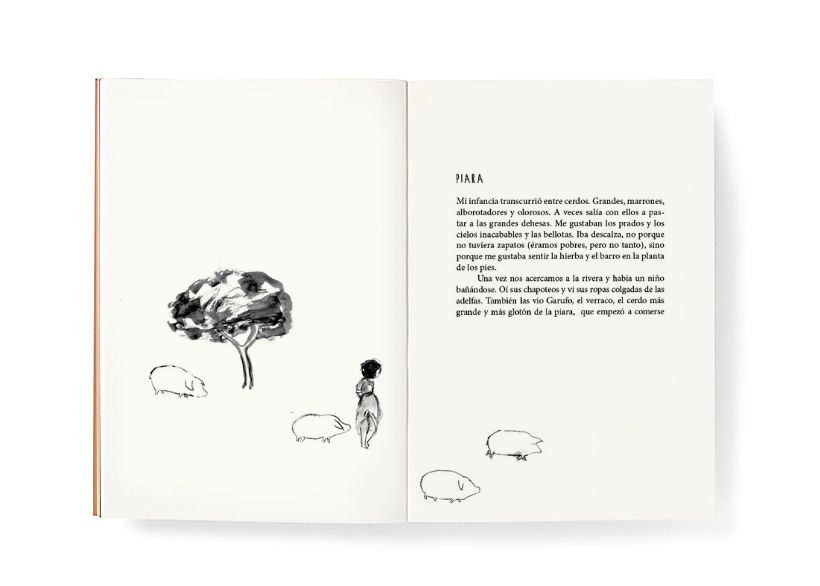 Piara. Ilustraciones y diseño. 12