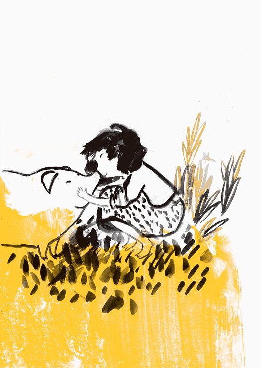 Piara. Ilustraciones y diseño. 22