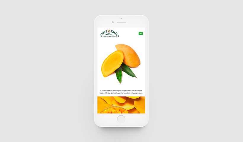 Web Design #69 0