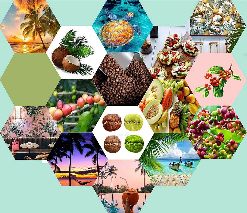 Mi Proyecto del curso: Motivos para repetir  0
