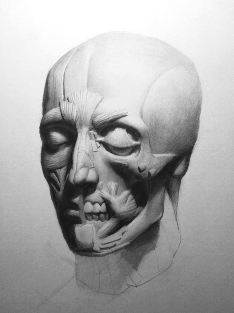 Dibujo Retrato 1