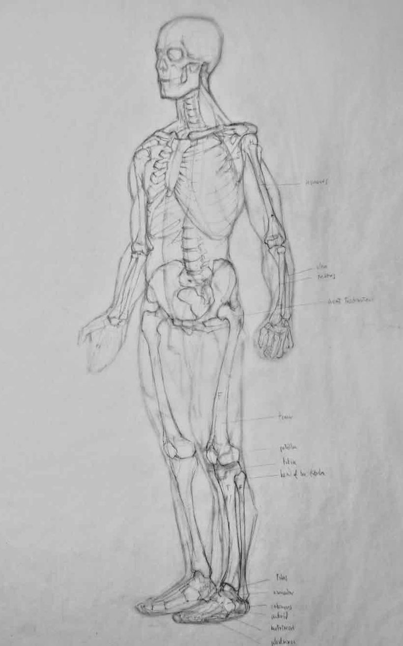 Dibujo Estructural 3