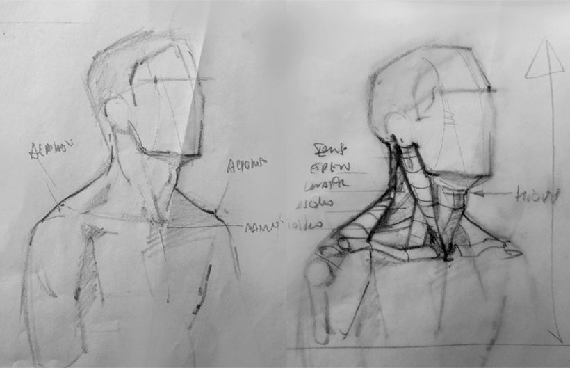 Dibujo Anatómico  8