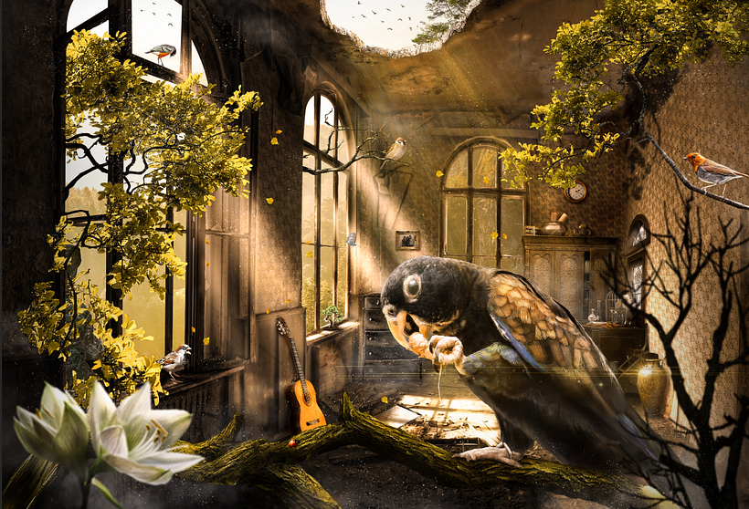 Secretos del Fotomontaje y Retoque Creativo : Proyecto Poly Creative 0