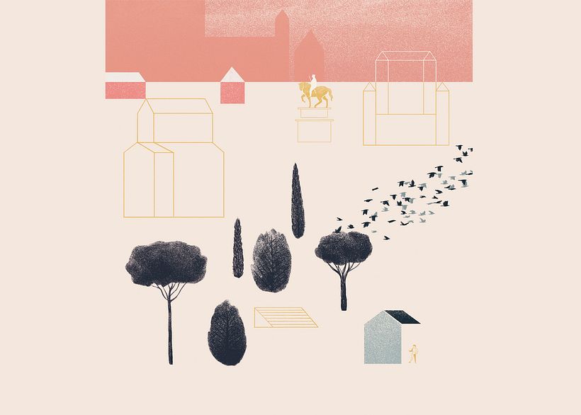 Piel de asno / Donkey skin 5