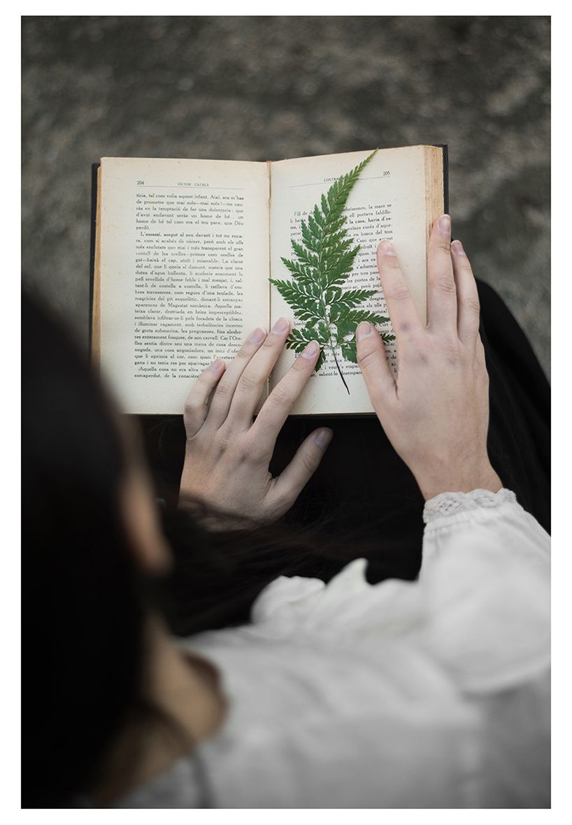 Brontë 0