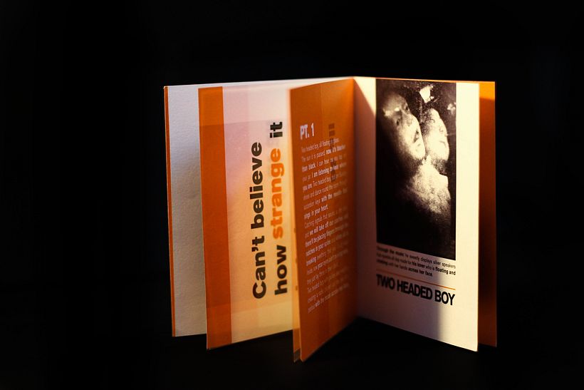 Songs from growth and death 5