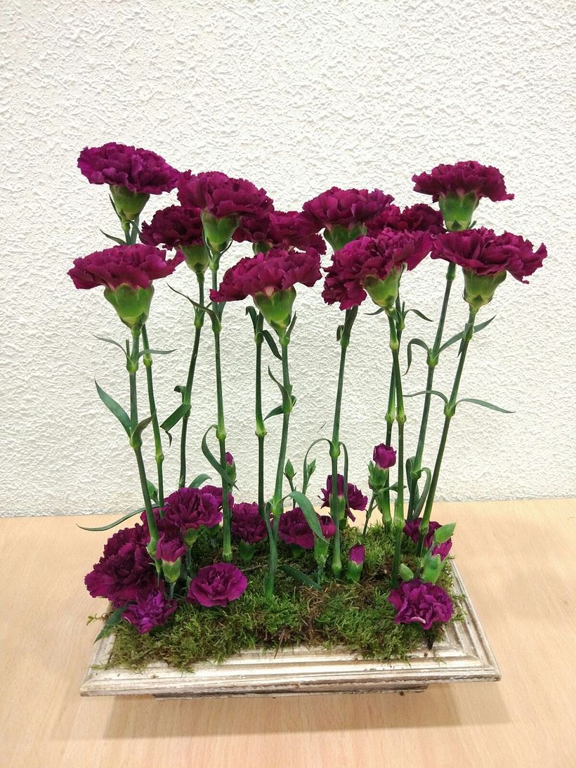 Centro Formal Paralelo monocultivo. Arte Floral 2