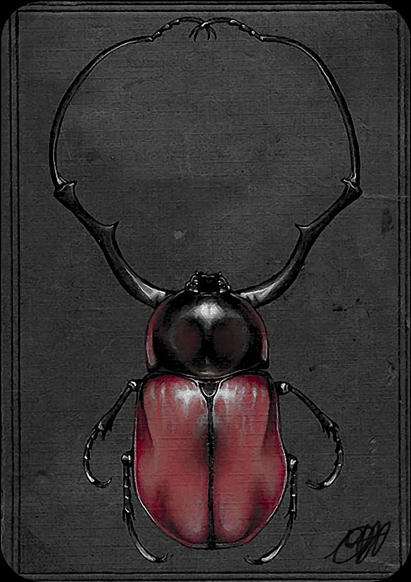 Ilustraciones, Graffitis y Pinturas 2