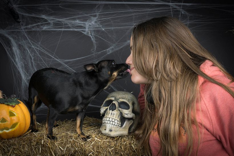 People and Dogs in studio 13