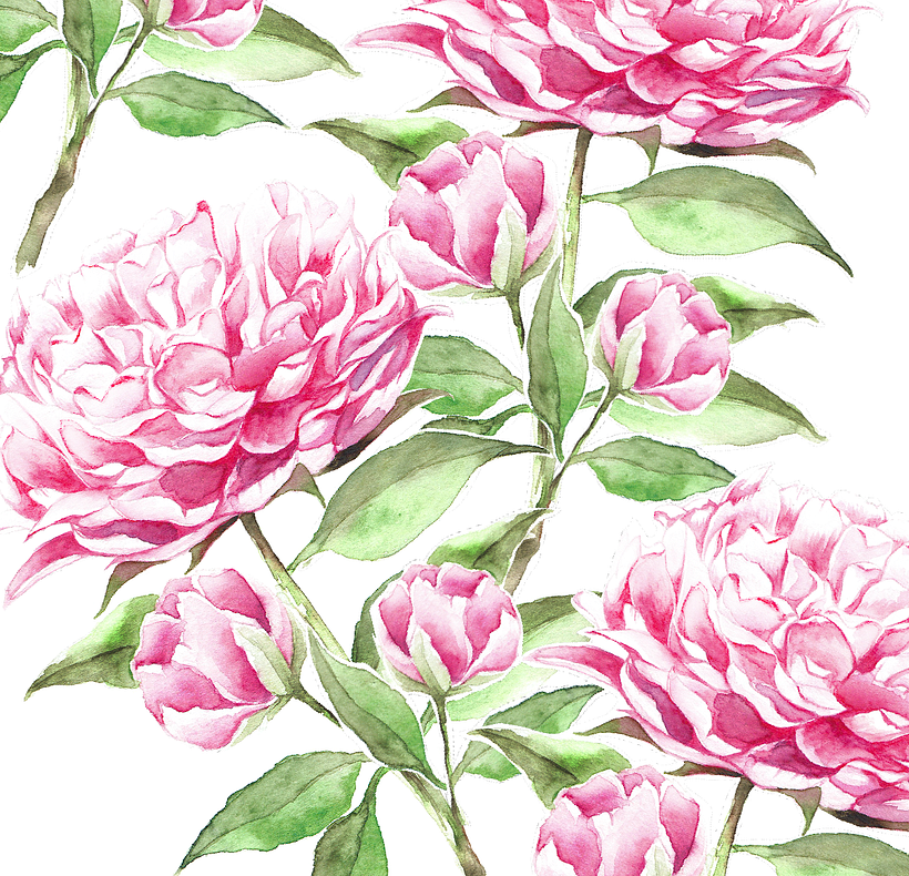 Flores botánica  5