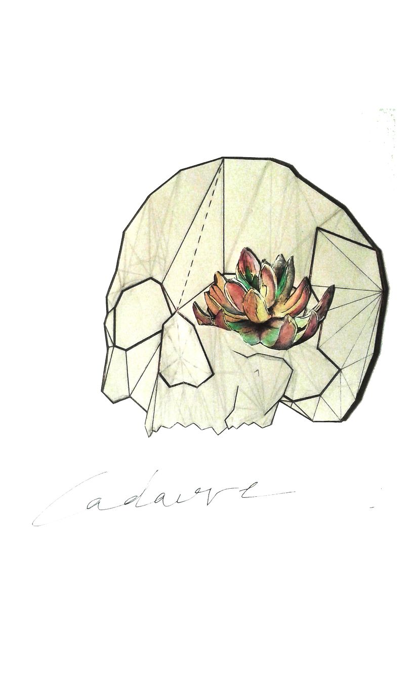 ideas -1