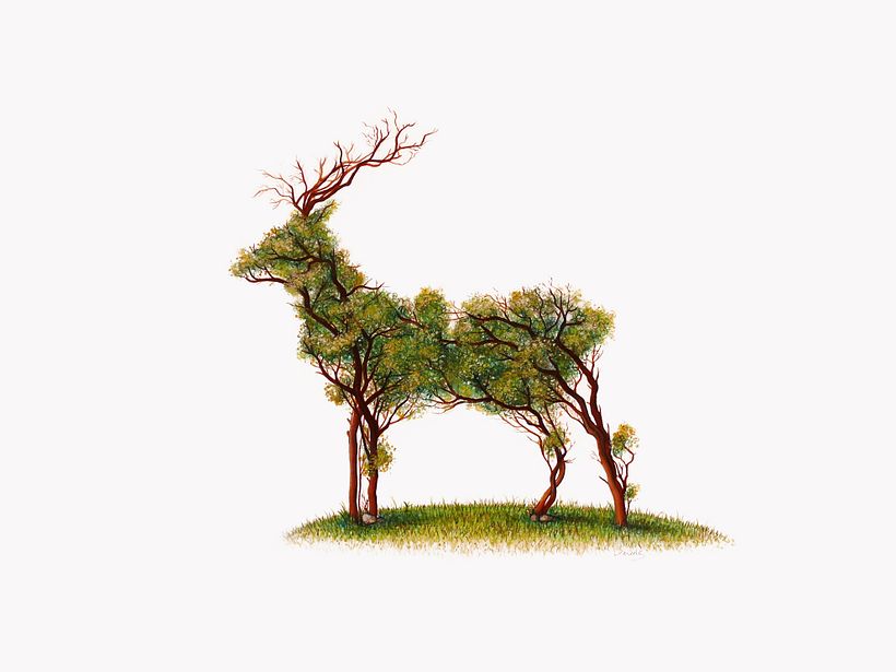 "De la tierra" Dibujos de doble sentido (técnica mixta) 1
