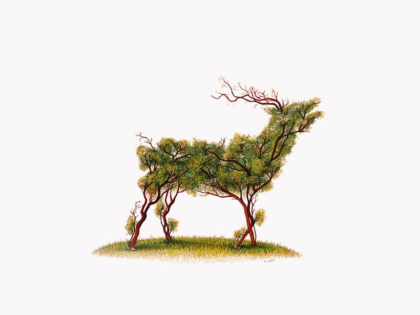 "De la tierra" Dibujos de doble sentido (técnica mixta) 2
